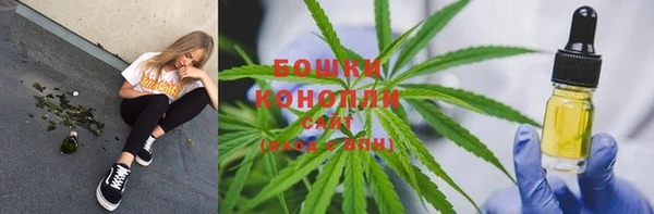 мяу мяу кристалл Иннополис