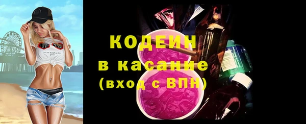 метадон Инта