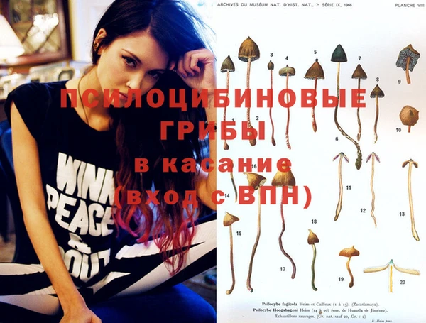 кокаин VHQ Каменногорск