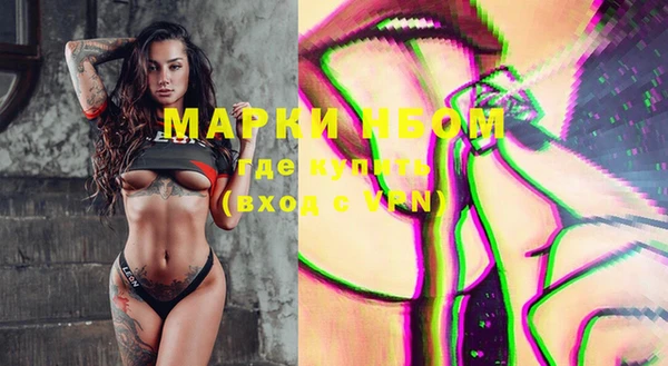 метадон Инта