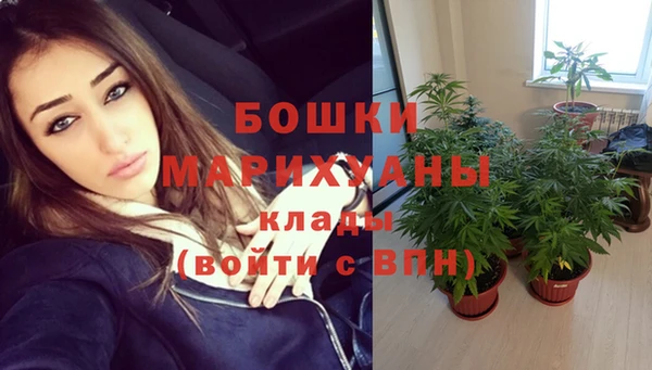 стаф Касимов