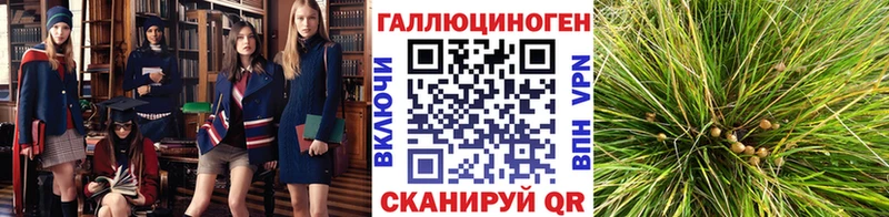 Галлюциногенные грибы прущие грибы  Котово 